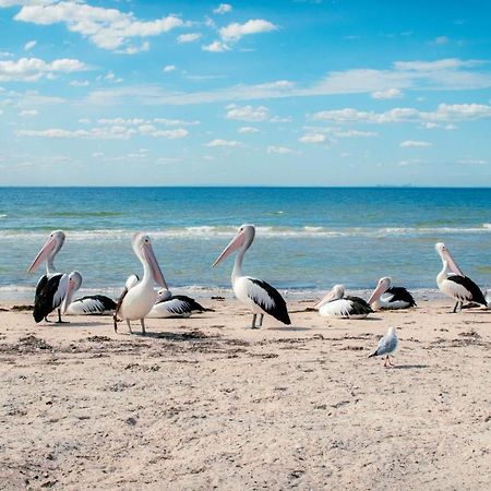 ホテル Bellarine Bayside ポートアーリントン エクステリア 写真