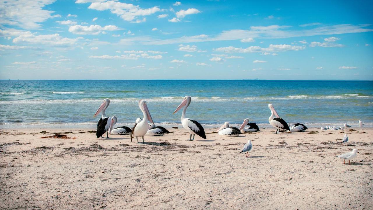 ホテル Bellarine Bayside ポートアーリントン エクステリア 写真